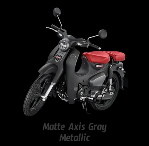 MATTE AXSIS GRAY METALLIC