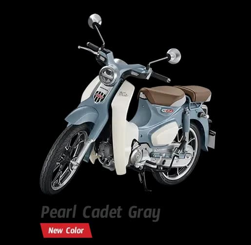 PEARL CADET GRAY