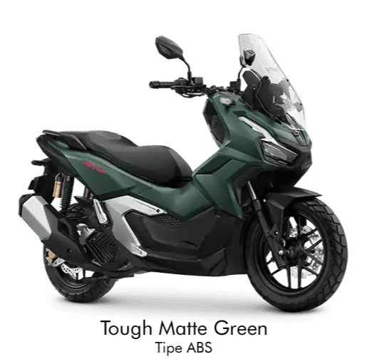 THOUGHT MATTE GREEN ABS