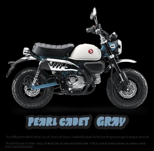 Monkey Pearl Cadet Gray